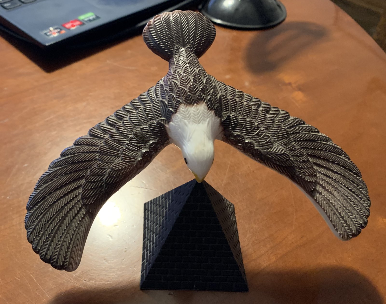 Águila equilibrista (tentetieso)