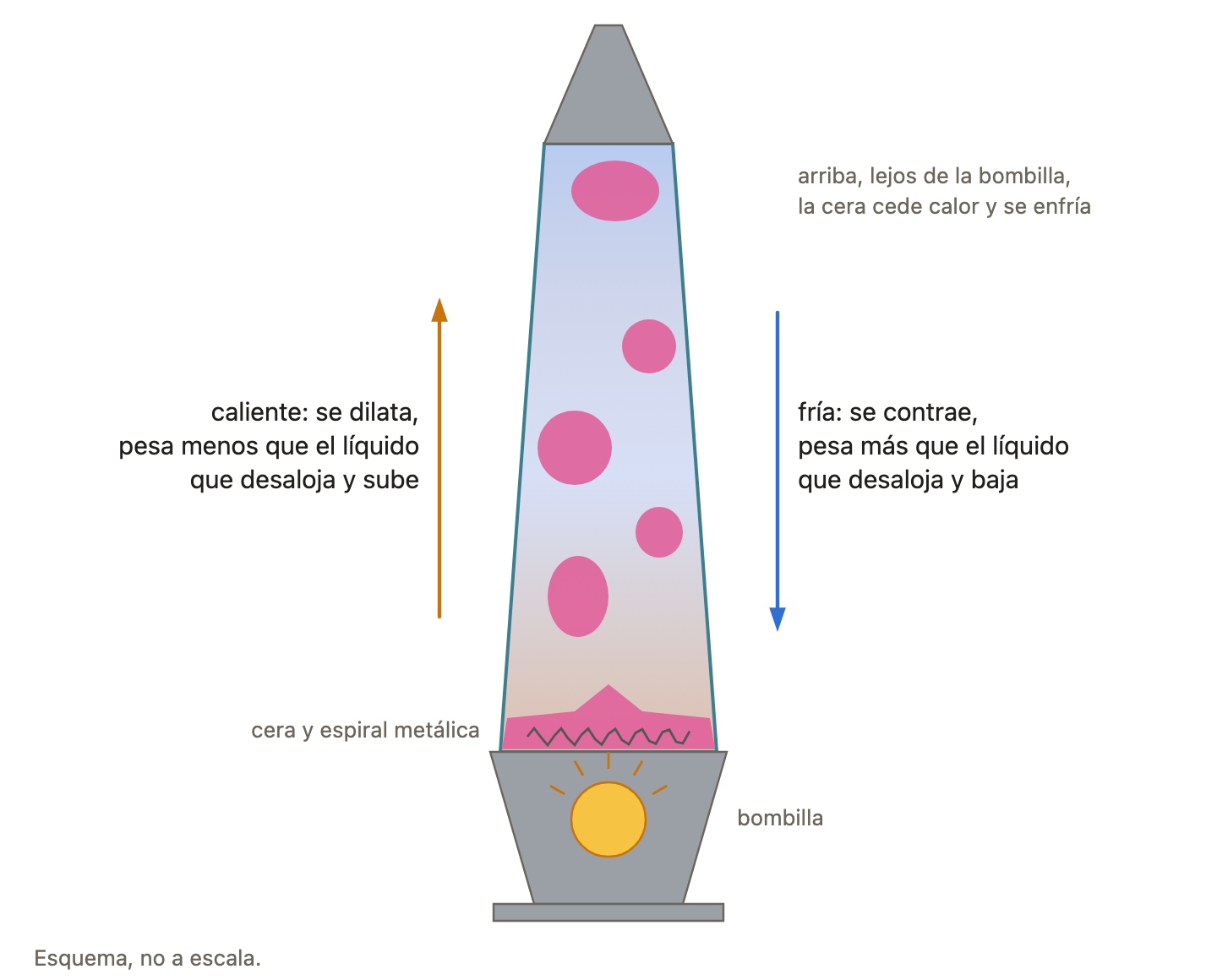 El ciclo de la cera. La bombilla calienta la cera del fondo, que se dilata y sube; arriba, lejos de la bombilla, se enfría, se contrae y vuelve a bajar. Esquema, no a escala.