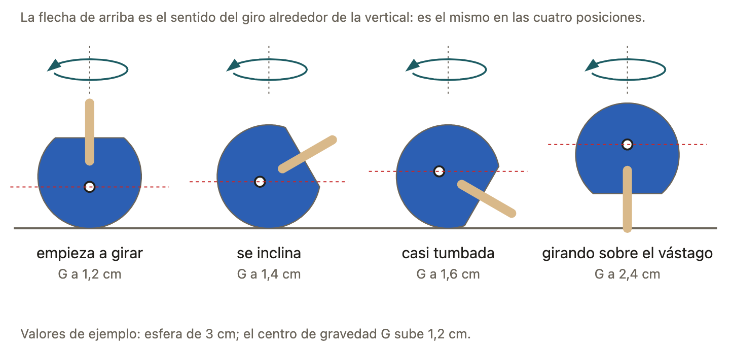 Cuatro momentos de la vuelta. El centro de gravedad G, el punto blanco, va subiendo hasta que la peonza gira sobre el vástago. La flecha de arriba es el sentido del giro alrededor de la vertical: es el mismo en las cuatro posiciones. Valores de ejemplo.