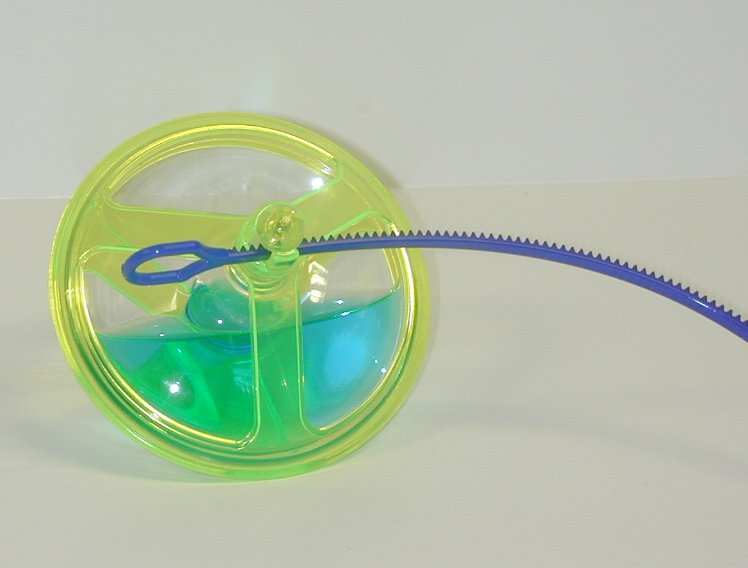 Peonza de lenteja de agua