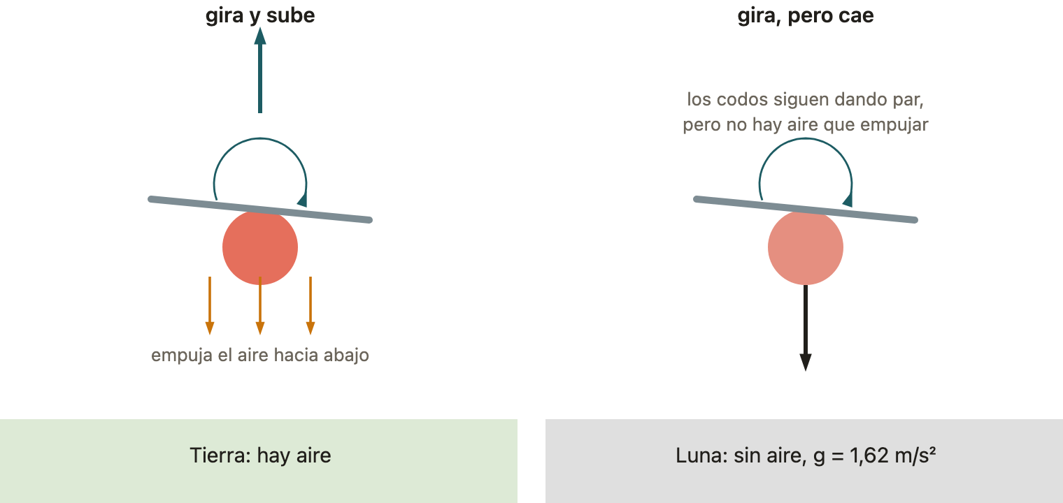 En la Tierra el helicóptero gira y sube porque empuja el aire hacia abajo. En la Luna, sin aire, giraría pero caería.