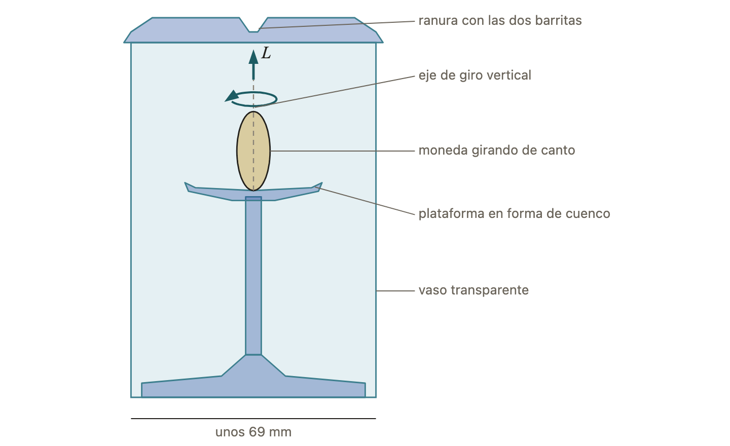 Corte de la hucha a escala, con las medidas sacadas de la foto. La moneda gira de canto sobre la plataforma alrededor de un eje vertical; la flecha L indica su momento angular.