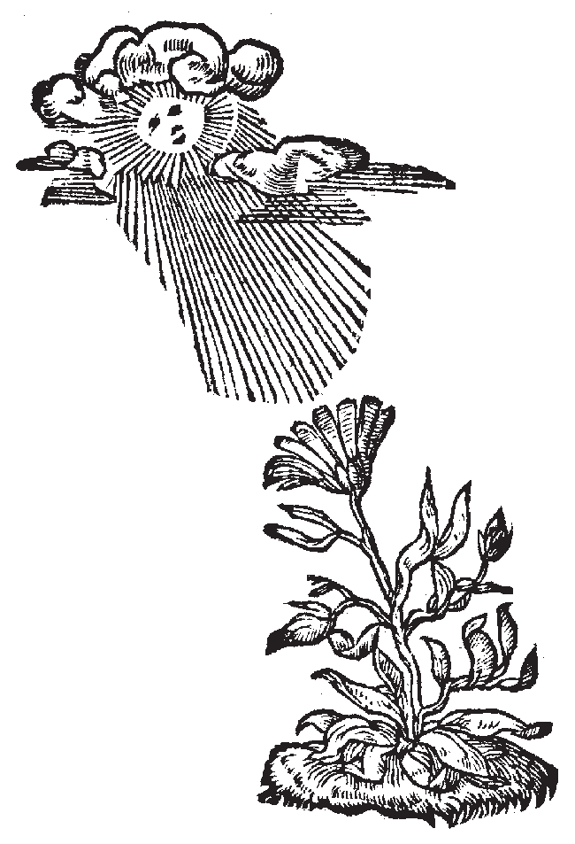 Figura del capítulo 12