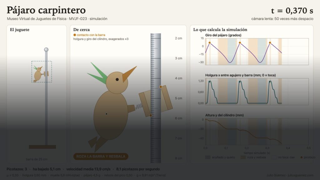 Simulación del pájaro carpintero